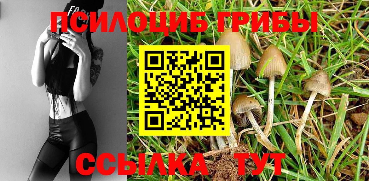 Псилоцибиновые грибы ЛСД Чапаевск