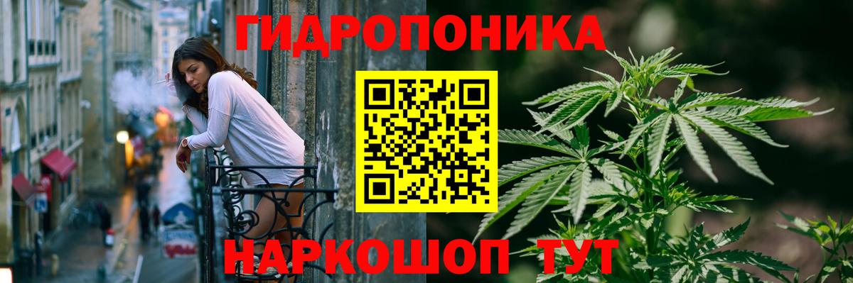 Бошки марихуана OG Kush  Марихуана Bruce Banner  Конопля планчик  Каннабис OG Kush  Чапаевск  Вход с VPN 